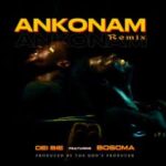 Dei Bie – Ankonam (Remix) Ft. Bosoma