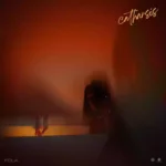 FOLA – disco ft. Young Jonn